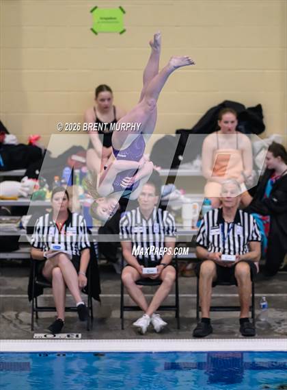 Thumbnail 2 in CHSAA 5A Finals (Diving) photogallery.