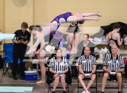 Thumbnail 3 in CHSAA 5A Finals (Diving) photogallery.