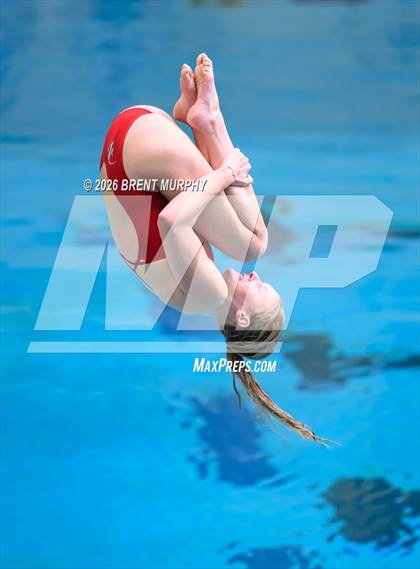 Thumbnail 3 in CHSAA 5A Finals (Diving) photogallery.