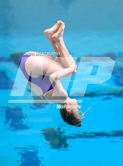 Thumbnail 1 in CHSAA 5A Finals (Diving) photogallery.