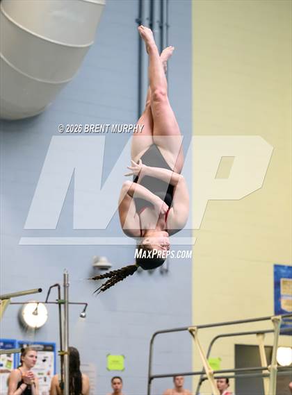 Thumbnail 1 in CHSAA 5A Finals (Diving) photogallery.