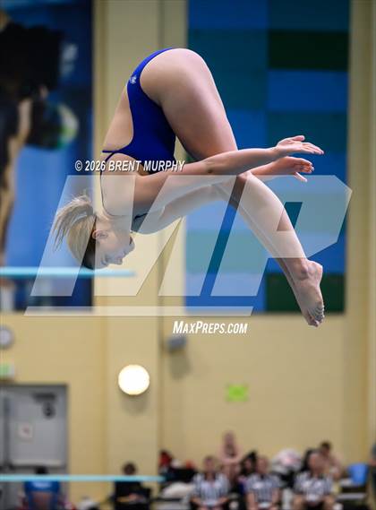 Thumbnail 2 in CHSAA 5A Finals (Diving) photogallery.