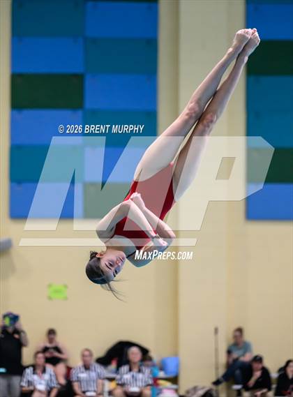 Thumbnail 1 in CHSAA 5A Finals (Diving) photogallery.