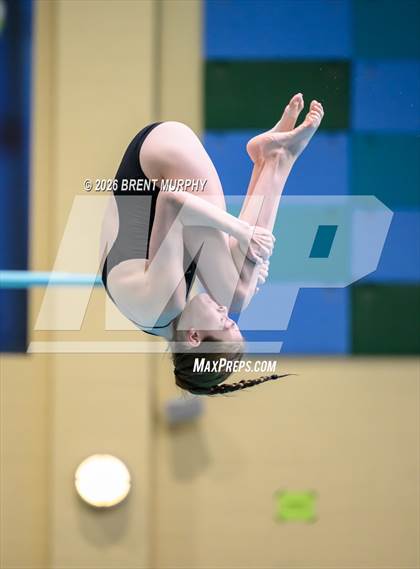 Thumbnail 3 in CHSAA 5A Finals (Diving) photogallery.