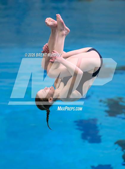 Thumbnail 1 in CHSAA 5A Finals (Diving) photogallery.