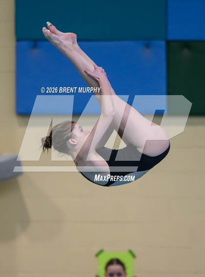 Thumbnail 3 in CHSAA 5A Finals (Diving) photogallery.