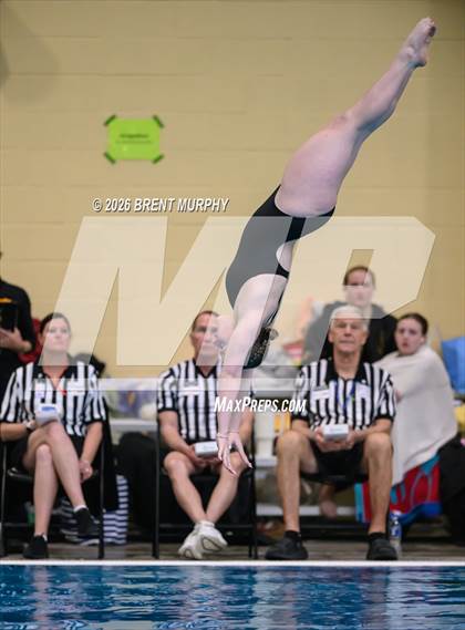 Thumbnail 1 in CHSAA 5A Finals (Diving) photogallery.