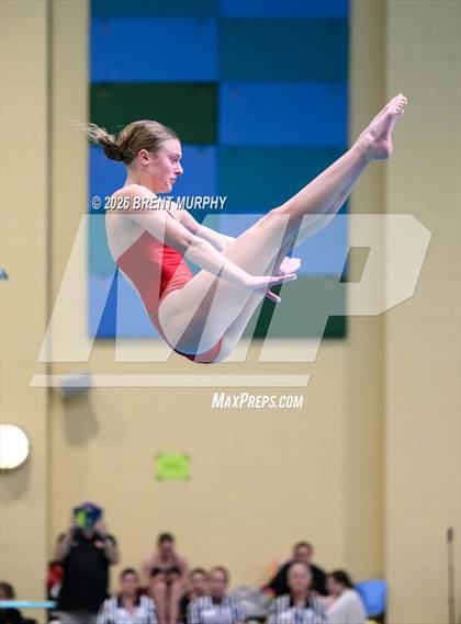 Thumbnail 2 in CHSAA 5A Finals (Diving) photogallery.