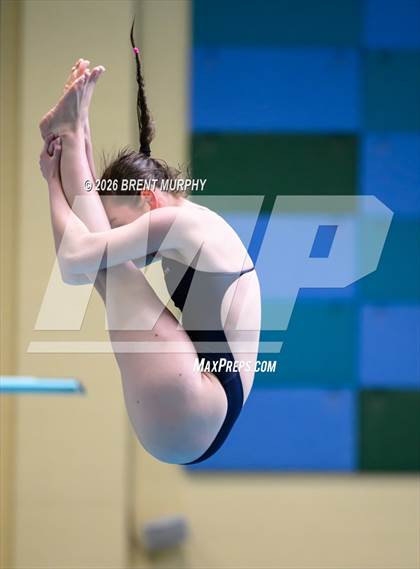 Thumbnail 1 in CHSAA 5A Finals (Diving) photogallery.