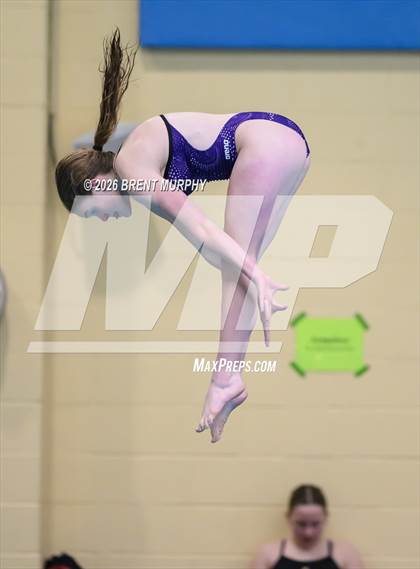 Thumbnail 3 in CHSAA 5A Finals (Diving) photogallery.