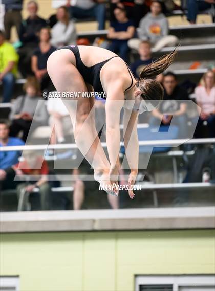 Thumbnail 1 in CHSAA 5A Finals (Diving) photogallery.