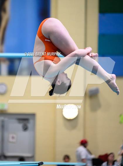 Thumbnail 2 in CHSAA 5A Finals (Diving) photogallery.