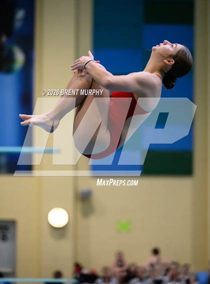 Thumbnail 3 in CHSAA 5A Finals (Diving) photogallery.