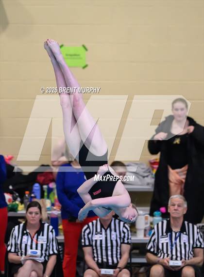 Thumbnail 2 in CHSAA 5A Finals (Diving) photogallery.