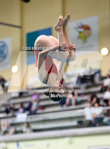 Thumbnail 1 in CHSAA 5A Finals (Diving) photogallery.