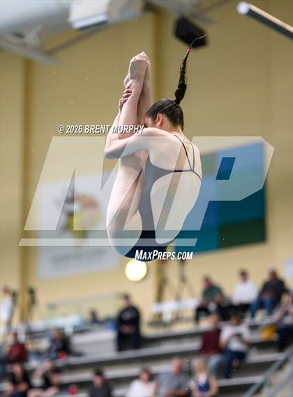 Thumbnail 1 in CHSAA 5A Finals (Diving) photogallery.