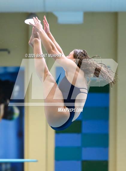 Thumbnail 1 in CHSAA 5A Finals (Diving) photogallery.