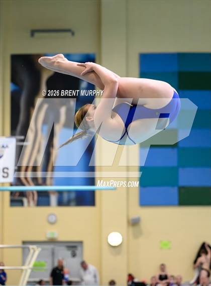 Thumbnail 2 in CHSAA 5A Finals (Diving) photogallery.