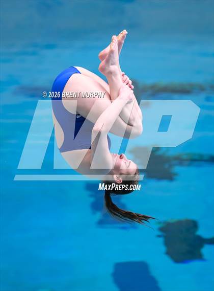 Thumbnail 2 in CHSAA 5A Finals (Diving) photogallery.