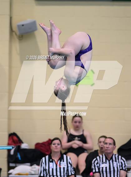 Thumbnail 1 in CHSAA 5A Finals (Diving) photogallery.
