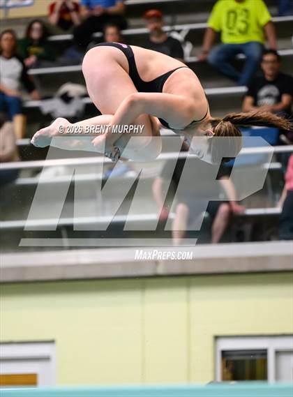 Thumbnail 2 in CHSAA 5A Finals (Diving) photogallery.