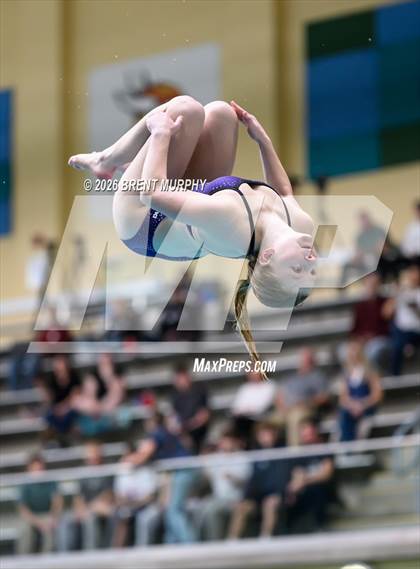 Thumbnail 3 in CHSAA 5A Finals (Diving) photogallery.