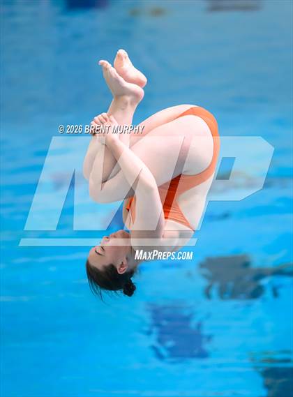 Thumbnail 2 in CHSAA 5A Finals (Diving) photogallery.