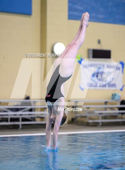 Thumbnail 1 in CHSAA 5A Finals (Diving) photogallery.