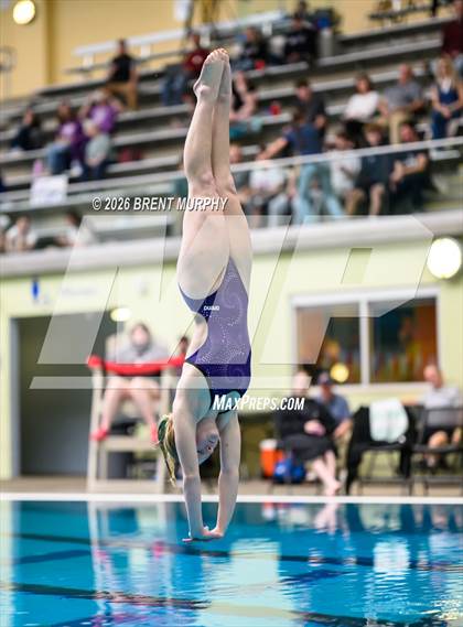 Thumbnail 1 in CHSAA 5A Finals (Diving) photogallery.