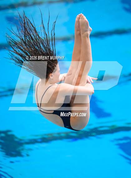 Thumbnail 3 in CHSAA 5A Finals (Diving) photogallery.