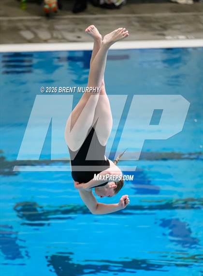 Thumbnail 1 in CHSAA 5A Finals (Diving) photogallery.