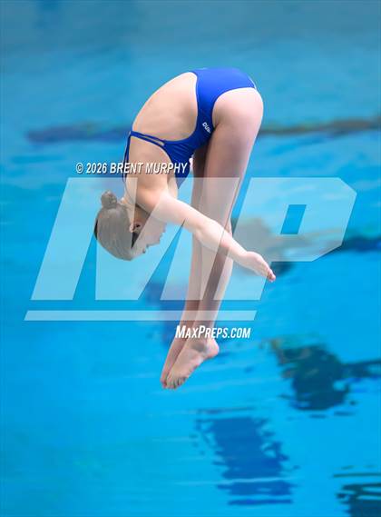Thumbnail 3 in CHSAA 5A Finals (Diving) photogallery.