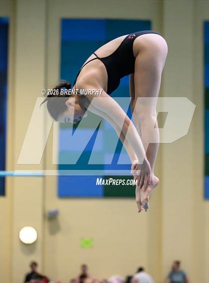 Thumbnail 1 in CHSAA 5A Finals (Diving) photogallery.