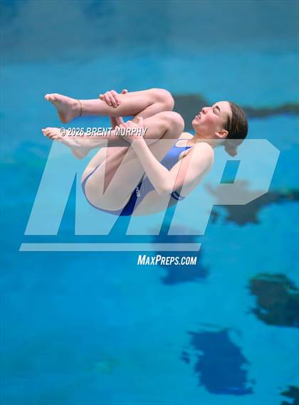 Thumbnail 1 in CHSAA 5A Finals (Diving) photogallery.