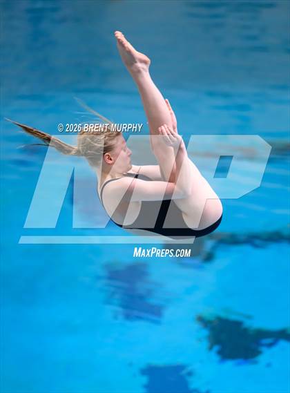Thumbnail 1 in CHSAA 5A Finals (Diving) photogallery.