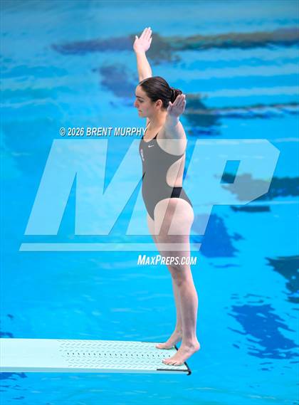 Thumbnail 3 in CHSAA 5A Finals (Diving) photogallery.