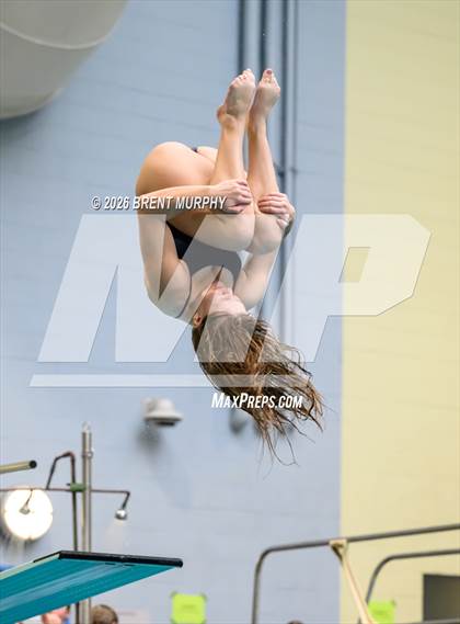 Thumbnail 2 in CHSAA 5A Finals (Diving) photogallery.