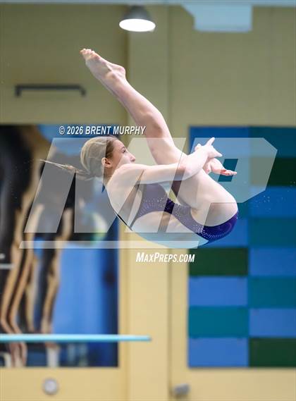 Thumbnail 1 in CHSAA 5A Finals (Diving) photogallery.