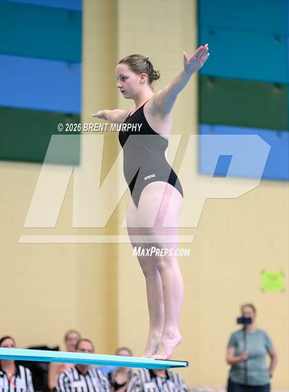 Thumbnail 1 in CHSAA 5A Finals (Diving) photogallery.