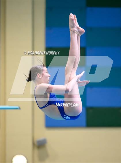 Thumbnail 3 in CHSAA 5A Finals (Diving) photogallery.
