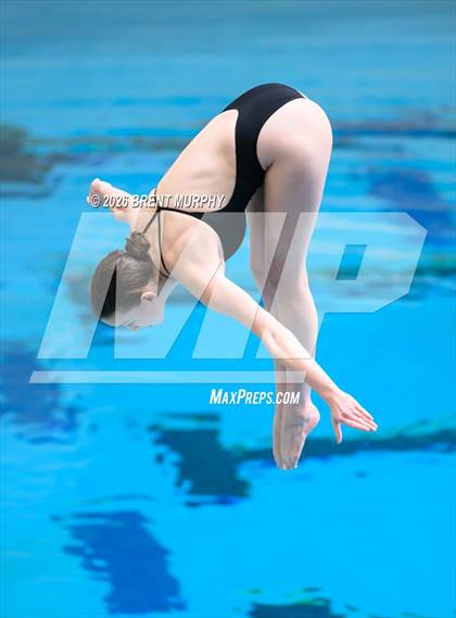 Thumbnail 3 in CHSAA 5A Finals (Diving) photogallery.