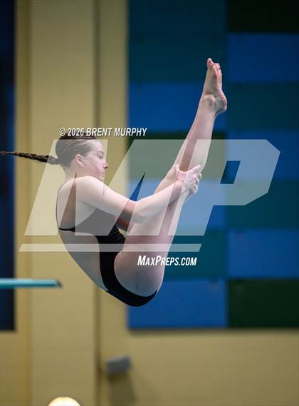 Thumbnail 1 in CHSAA 5A Finals (Diving) photogallery.