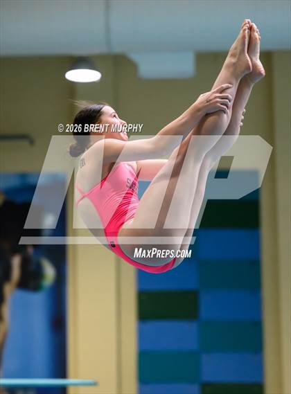 Thumbnail 1 in CHSAA 5A Finals (Diving) photogallery.