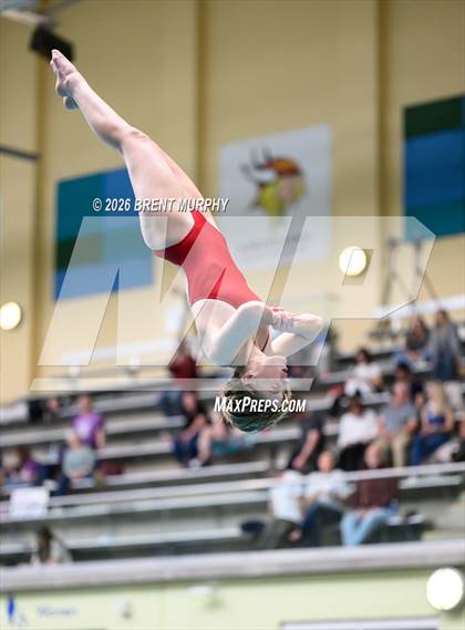 Thumbnail 1 in CHSAA 5A Finals (Diving) photogallery.