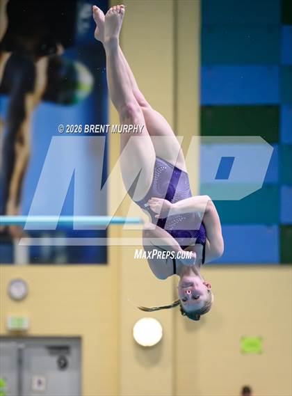 Thumbnail 3 in CHSAA 5A Finals (Diving) photogallery.