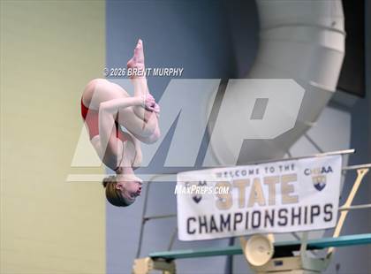 Thumbnail 3 in CHSAA 5A Finals (Diving) photogallery.