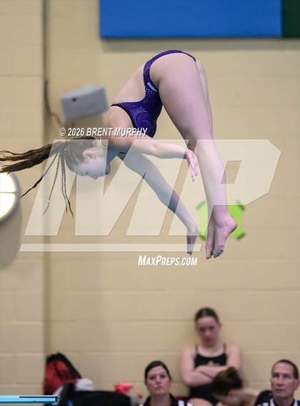 Thumbnail 1 in CHSAA 5A Finals (Diving) photogallery.