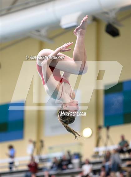 Thumbnail 1 in CHSAA 5A Finals (Diving) photogallery.
