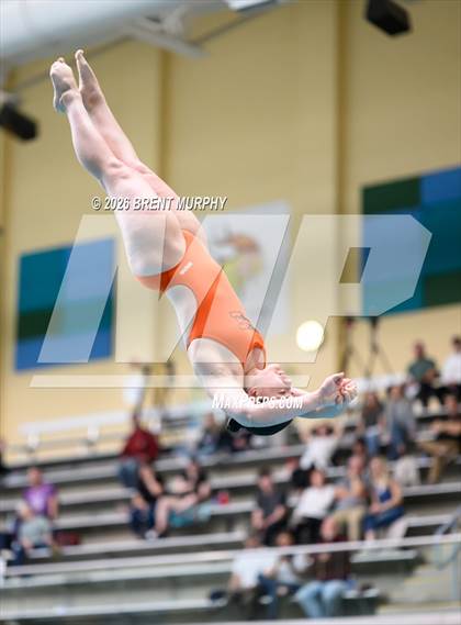 Thumbnail 3 in CHSAA 5A Finals (Diving) photogallery.