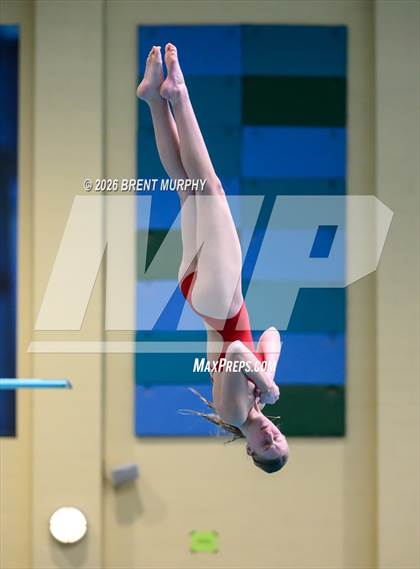 Thumbnail 3 in CHSAA 5A Finals (Diving) photogallery.